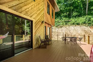 797 Merrills Cove Rd, Asheville, NC 28803 - Photo 45