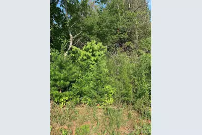 0 Rock House Road, Blacksburg, SC 29702 - Photo 3