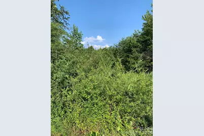 0 Rock House Road, Blacksburg, SC 29702 - Photo 3