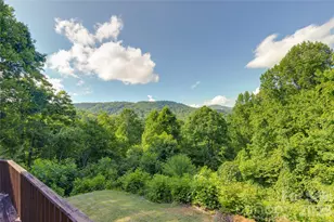 300 Buck Dr, Hot Springs, NC 28743 - Photo 9