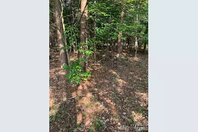 0 Rock House Road, Blacksburg, SC 29702 - Photo 3