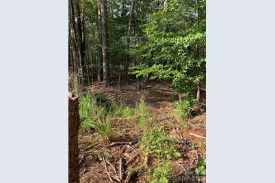 0 Rock House Road, Blacksburg, SC 29702 - Photo 5