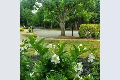 20452 Greenway Heights Drive, Cornelius, NC 28031 - Photo 3
