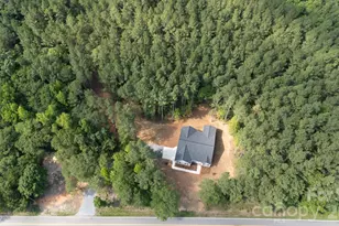 2902 Peden Bridge Rd, Chester, SC 29729 - Photo 39