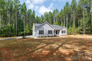 2902 Peden Bridge Rd, Chester, SC 29729 - Photo 3