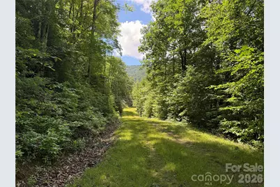 999 Hawks Nest Drive #86, Burnsville, NC 28714 - Photo 7