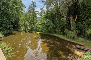 36 Meadows Ln, Maggie Valley, NC 28751 - Photo 35