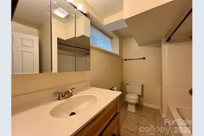 19 Saluda Street, Asheville, NC 28806 - Photo 33