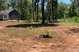 159 Evenfall Ln, Columbus, NC 28722 - Photo 37