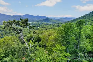 16 Nellie Bell Ln, Swannanoa, NC 28778 - Photo 1