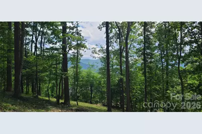 16 Nellie Bell Lane, Swannanoa, NC 28778 - Photo 5