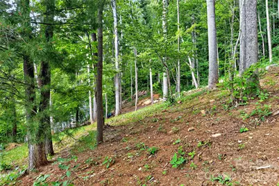 16 Nellie Bell Lane, Swannanoa, NC 28778 - Photo 13