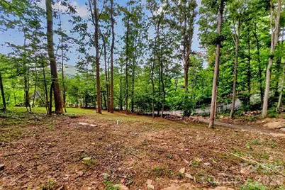 16 Nellie Bell Lane, Swannanoa, NC 28778 - Photo 15