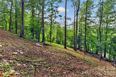 16 Nellie Bell Lane, Swannanoa, NC 28778 - Photo 17