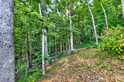 32 Nellie Bell Lane, Swannanoa, NC 28778 - Photo 7