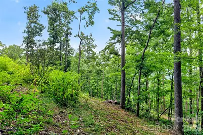32 Nellie Bell Lane, Swannanoa, NC 28778 - Photo 9