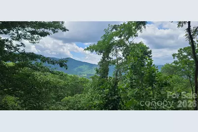 32 Nellie Bell Lane, Swannanoa, NC 28778 - Photo 3