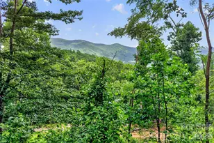 32 Nellie Bell Ln, Swannanoa, NC 28778 - Photo 1