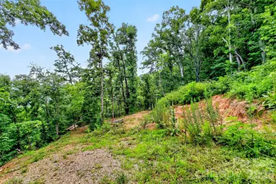 32 Nellie Bell Lane, Swannanoa, NC 28778 - Photo 11