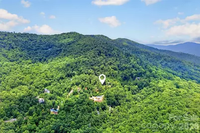 32 Nellie Bell Lane, Swannanoa, NC 28778 - Photo 27