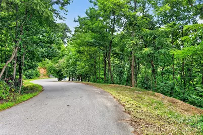 32 Nellie Bell Lane, Swannanoa, NC 28778 - Photo 19