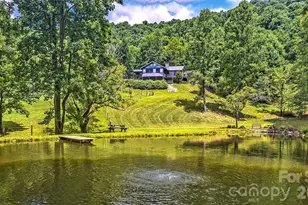 294 Red Knob Ln, Marshall, NC 28753 - Photo 41