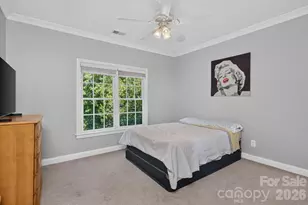 12129 James Jack Ln, Charlotte, NC 28277 - Photo 31