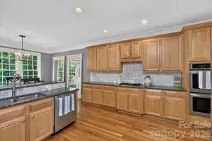 12129 James Jack Ln, Charlotte, NC 28277 - Photo 23