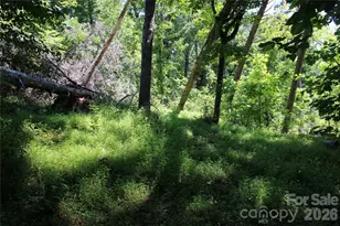 3041 Bills Creek Rd, Lake Lure, NC 28746 - Photo 13
