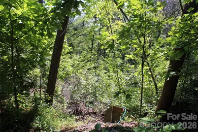 3041 Bills Creek Road, Lake Lure, NC 28746 - Photo 15