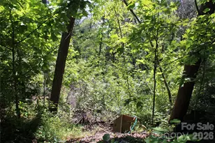 3041 Bills Creek Rd, Lake Lure, NC 28746 - Photo 15