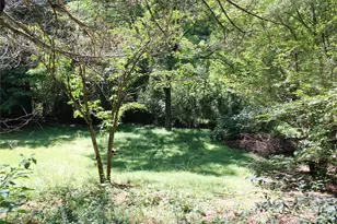 3041 Bills Creek Rd, Lake Lure, NC 28746 - Photo 19