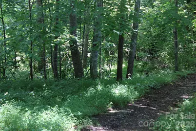 3041 Bills Creek Road, Lake Lure, NC 28746 - Photo 23