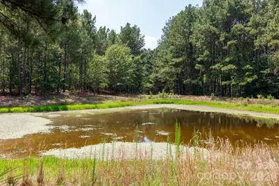 410 Ole Simpson Place, Catawba, SC 29704 - Photo 31
