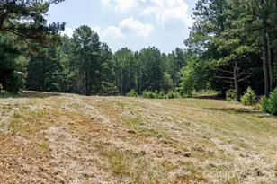 410 Ole Simpson Pl, Catawba, SC 29704 - Photo 41