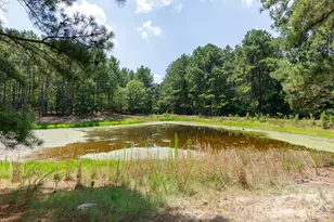 410 Ole Simpson Pl, Catawba, SC 29704 - Photo 27