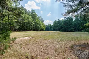 410 Ole Simpson Pl, Catawba, SC 29704 - Photo 33