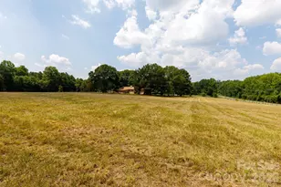 410 Ole Simpson Pl, Catawba, SC 29704 - Photo 19