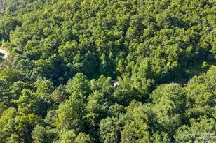 125 Ice Hollow Rd, Zirconia, NC 28790 - Photo 37