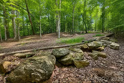 1147 Whispering Winds Drive, Catawba, NC 28609 - Photo 45