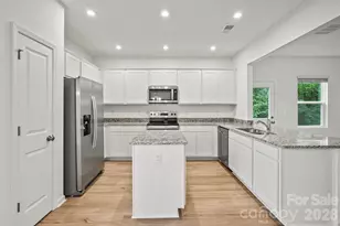 10015 Limpkin Ln, Charlotte, NC 28278 - Photo 11