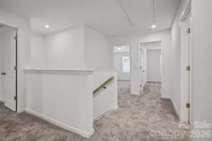 10015 Limpkin Ln, Charlotte, NC 28278 - Photo 19