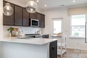 10011 Limpkin Ct, Charlotte, NC 28278 - Photo 5