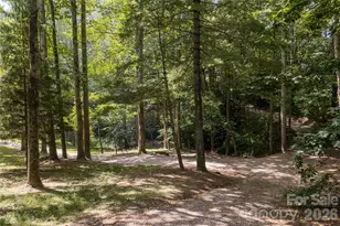 360 Pinners Cove Rd, Asheville, NC 28803 - Photo 45