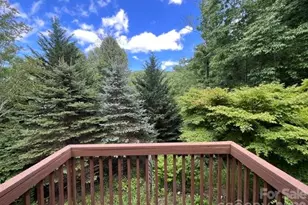 105 Chestnut Hill Rd, Black Mountain, NC 28711 - Photo 3