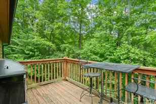 67 Hawks Lndg, Burnsville, NC 28714 - Photo 29