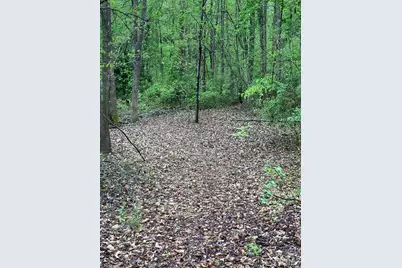 1095 E Prince Road, Landrum, SC 29356 - Photo 29