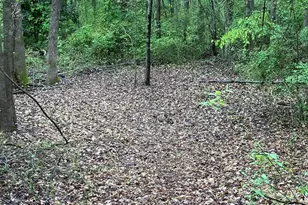 1095 E Prince Rd, Landrum, SC 29356 - Photo 29