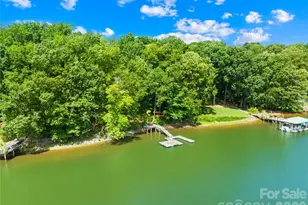 114 Forest Cove Ln, Mooresville, NC 28117 - Photo 37
