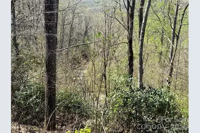 24 Elk Mountain Loop, Newland, NC 28657 - Photo 11